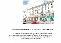 Техническое заключение по результатам натурного обследования нежилых помещений в пределах подвала и первого этажа