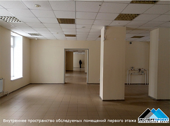 Техническое заключение по результатам натурного обследования строительных конструкций (стен, колонн, перекрытия) в пределах подвального этажа