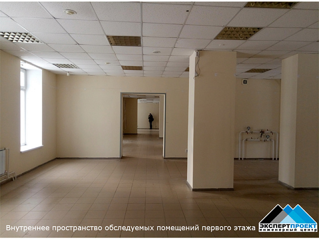 Техническое заключение по результатам натурного обследования строительных конструкций (стен, колонн, перекрытия) в пределах подвального этажа